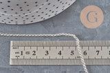 Silver-plated 304 stainless steel rolo chain 2mm, x1 meter (G11198)