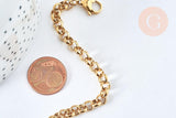 Bracelet maille rolo acier inoxydable 304 doré 14k, 1.5mm, 20.5cm, x1 (G6893)