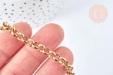 Bracelet maille rolo acier inoxydable 304 doré 14k, 1.5mm, 20.5cm, x1 (G6893)