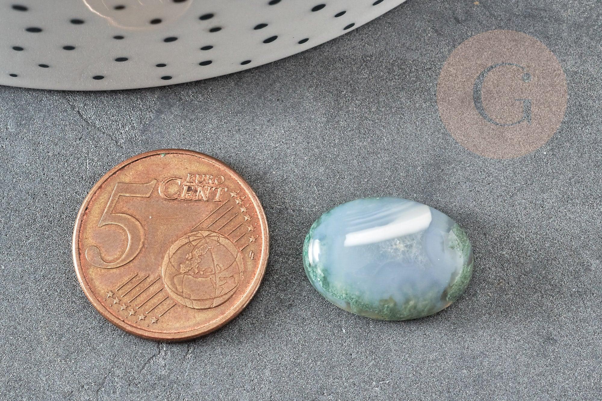 Cabochon ovale agate mousse verte naturelle 18 x 13mm, x1 (G2593)