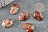Cabochon ovale jaspe rayé bréchique naturel 18x13mm, x1 (G2238)