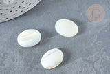 Cabochon ovale nacre blanche 18x13x4.5mm, x1 (G7376)