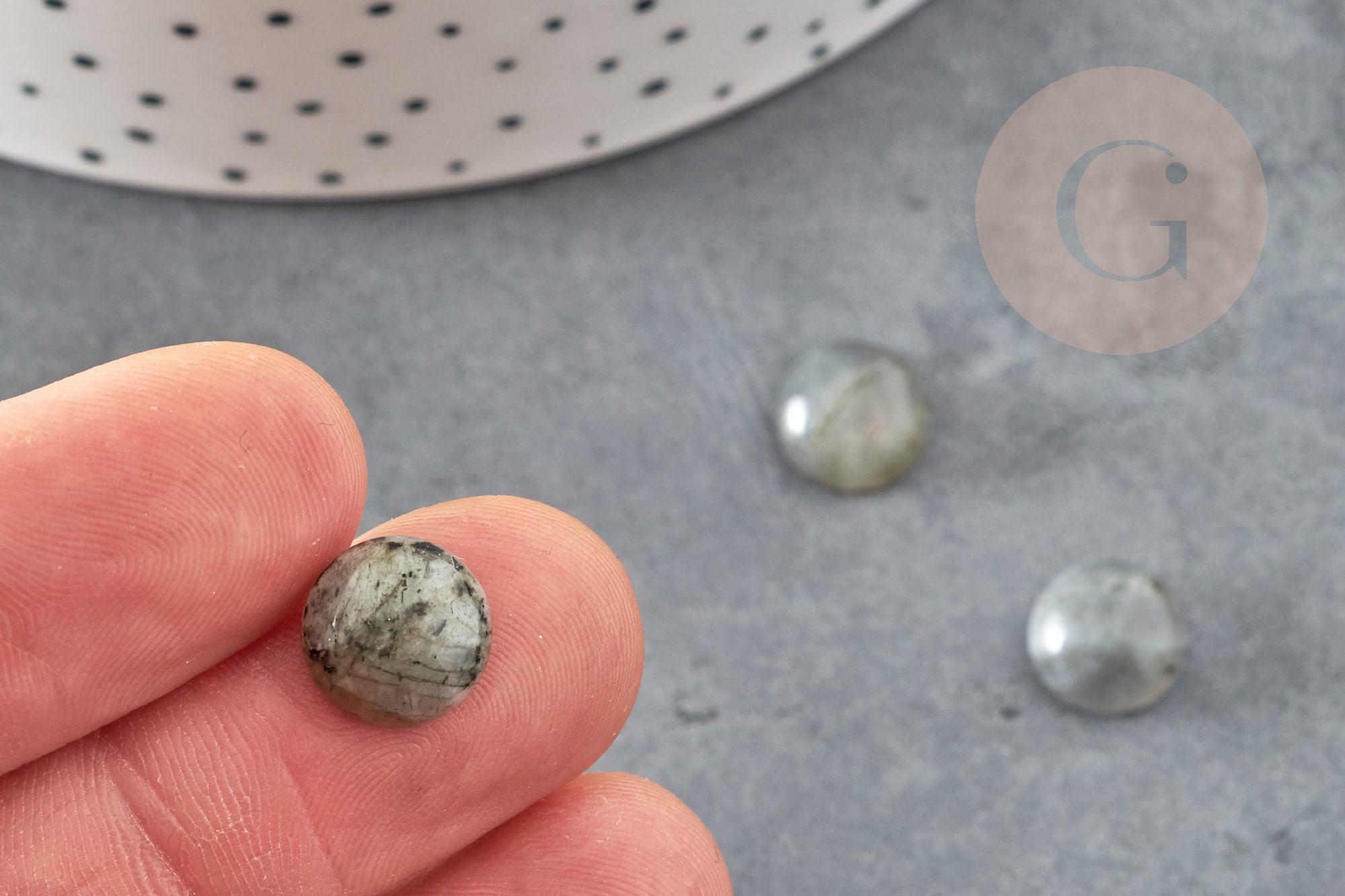 Cabochon rond labradorite naturelle 10mm, x1 (G5021)