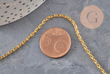 Chaine forçat fer doré 2 mm, x5 Mètres (G0751)