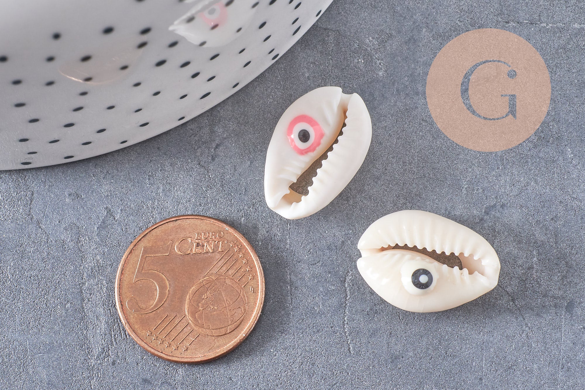 Coquillage cauris ouvert oeil chance 18-22mm,x10 (G2058)