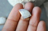 EP Pendentif corne pierre de lune naturelle 20.5mm x1 G6310
