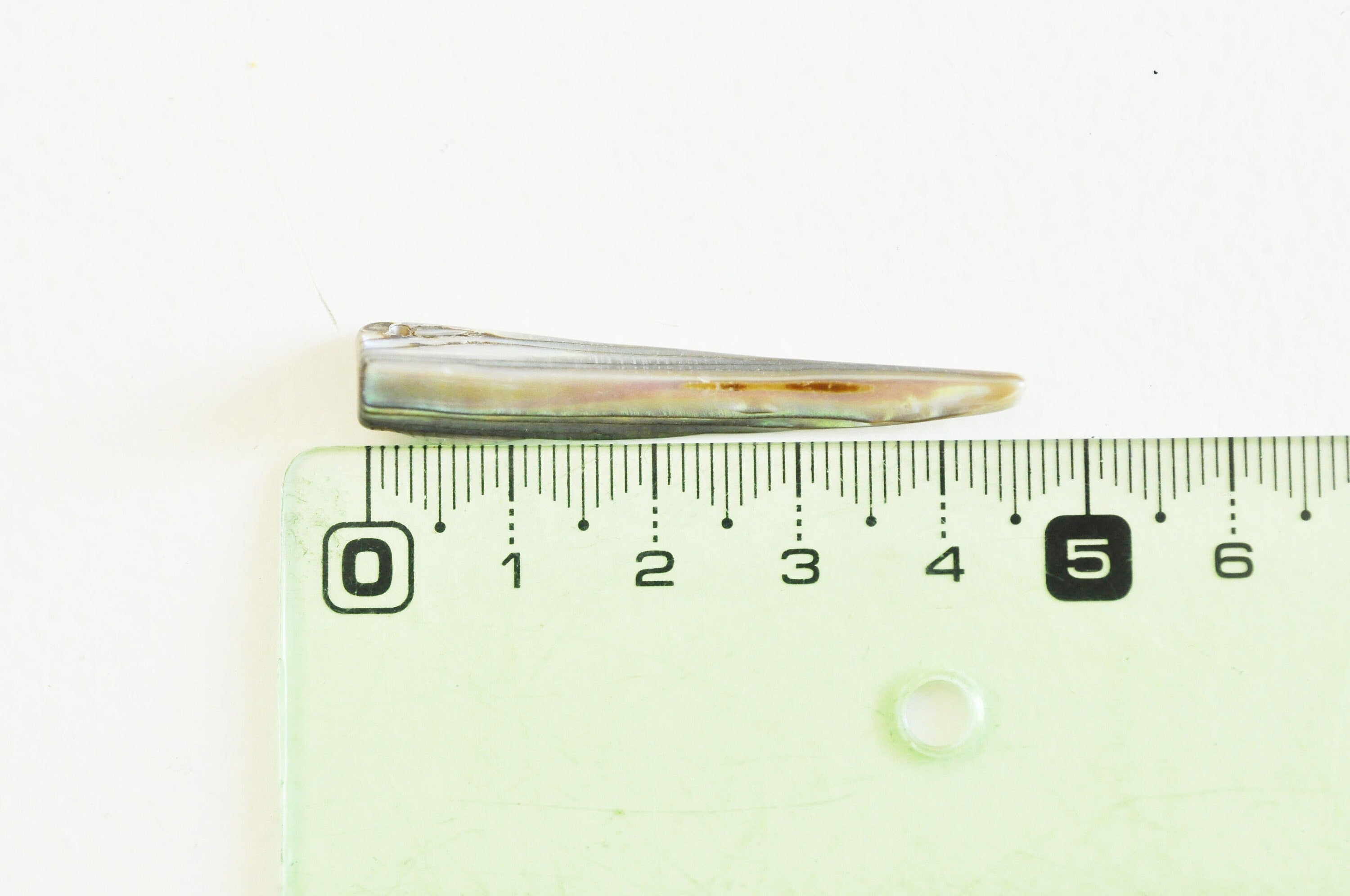 EP-perle coquillage naturel nacre dent abalone 40mm,le x 2 G5142