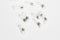 Embout cordon lunettes x20 (G1991)