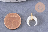 Lune nacre blanche naturelle support laiton doré 15.8mm, x1 (G3251)