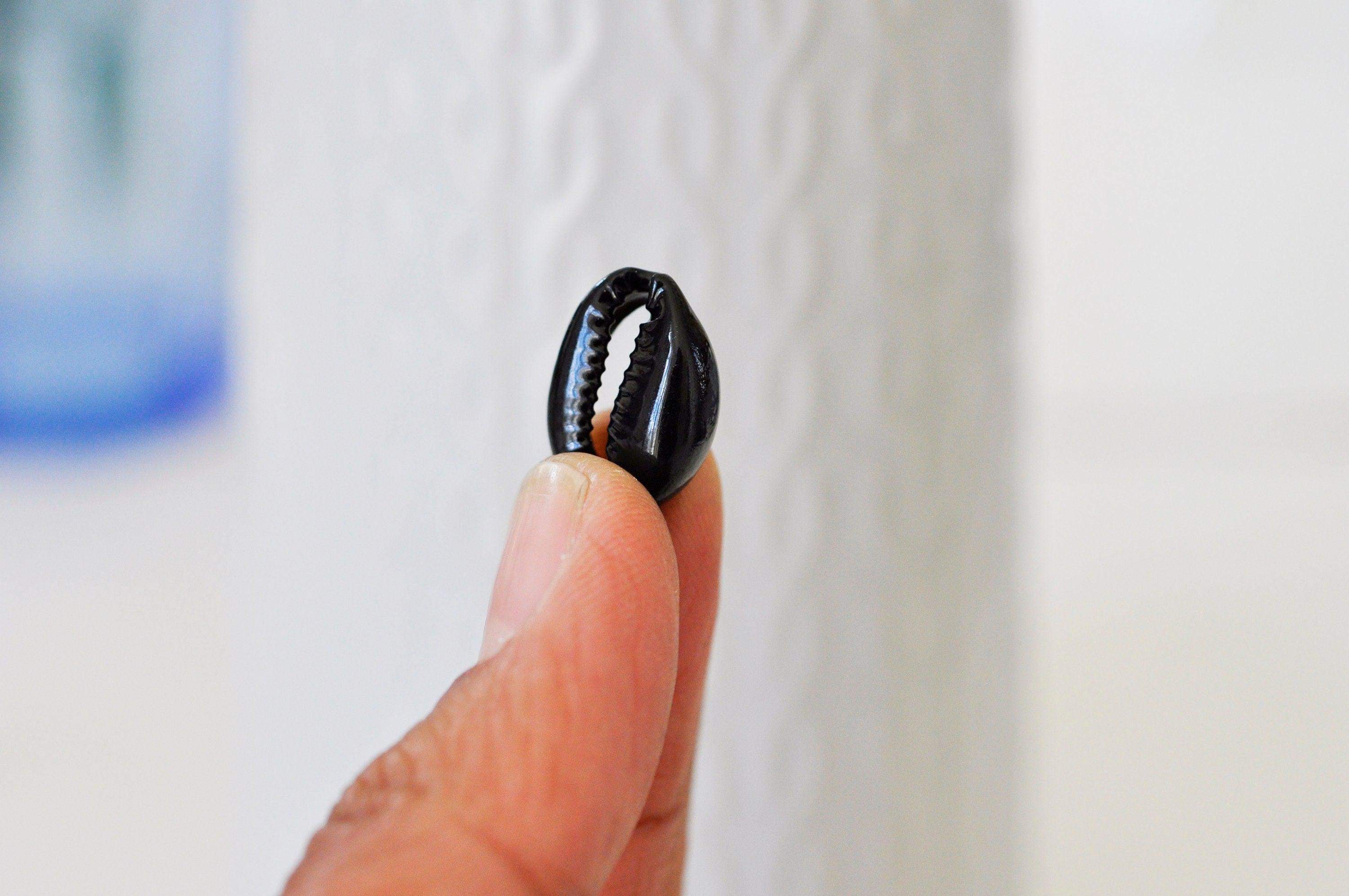 Pendentif coquillage cauris noirs,coquillage naturel,cauri noir,coquillage bijou,15mm, x5 (G0370)