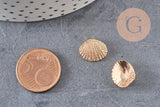 Pendentif coquillage doré 14K 13mm, x2 (G0664)