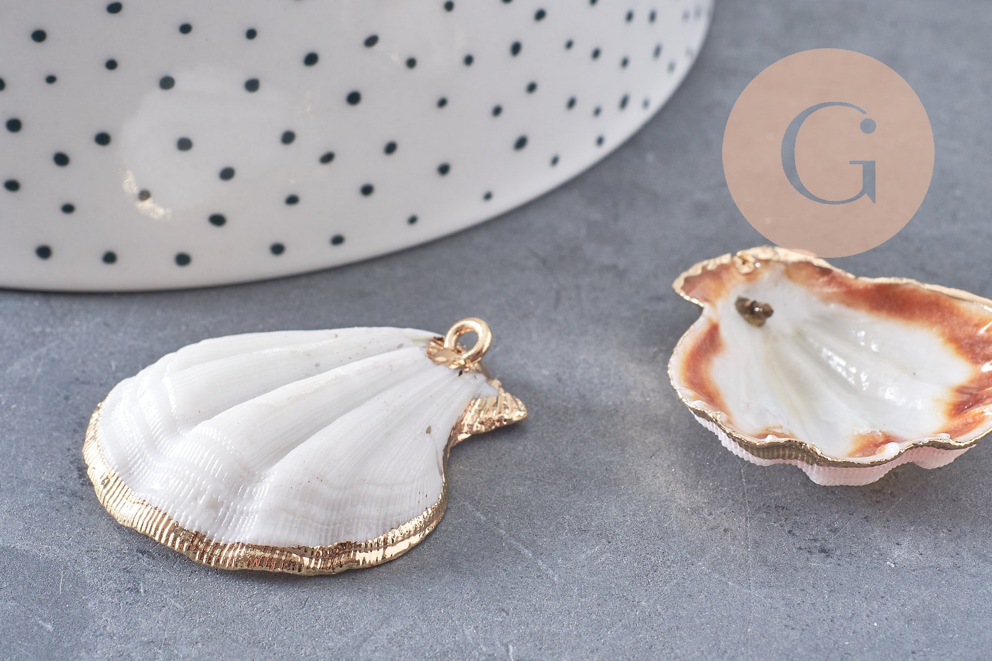 Pendentif coquillage naturel coque doré 32-42mm, x1 (G0096)