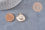 Pendentif coquillage naturel coque doré,pendentif doré, création bijoux, coquillage bijou,coquillage or,22-29mm, x 2,G3088