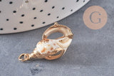 Pendentif coquillage naturel spirale doré, x1 (G2201)