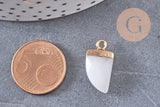 Pendentif corne jade blanc,pendentif bijoux, jade naturel,jade blanc,pendentif jade,21mm, x1 (G0834)