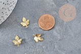 Pendentif feuille d'érable en acier 304 inoxydable doré 15mm, x5 (G4610)