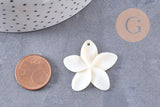 Pendentif fleur à pétales nacre blanche naturelle 31-34.5mm, x2 (G10226)