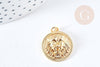 Pendentif rond Tête de Lion laiton doré 18K 22mm, fabrication bijoux fantaisie, x1 G8872