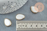 Perle goutte nacre blanche naturelle doré 18x13mm, x5 (G8972)