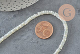 EP-perle nacre naturelle heishi gris pastel,tube coquillage coloré,perle coquillage, 2x4mm, le fil de 185 perles G4769-Perles-Gingerlily Perles