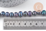 Perle naturelle culture d'eau douce noire ovale 7.5-10mm, x1 fil de 37cm (G10884)