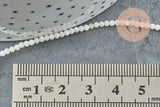 Perle ronde nacre blanche,perles coquillage,coquillage naturel,fil 40cm,2.5mm, x1 (G5449)