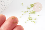 Petite perles de rocaille vert transparent 2.5mm, perles rocaille verre, pour perlage, x 10gr (G3667)