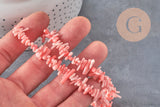 Cuentas de coral rosa EP, cuentas de coral, fabricación de joyas, coral natural, cuentas de concha, concha rosa, hilo de 38 cm, G3089
