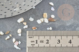 Sable chips coquillage nacre naturelle beige blanc 2-5mm non percé, x20gr (G9309)