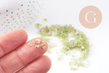Sable chips pierre péridot naturelle brute roulée 3-9mm non percé, x20gr (G0244)