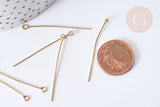 Tiges tête boucle ronde acier 304 inoxydable doré 40mm, x10 (G8009)