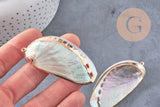 coquillage naturel blanc doré 53-70mm,pendentif argent création bijoux, x1 (G2086)