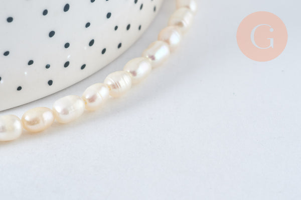 Shell, mother-of-pearl, and sea bamboo beads for natural DIY jewelry