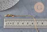 Cadena ajustable forzada de acero inoxidable 304 dorado IP de 2 mm/51 cm, x1 (G11257)