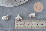 Shell charm 304 stainless steel silver plated 14mm, x1 (G11270)