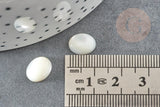 Cabochon ovale nacre blanche naturelle 10x8mm, x1 (G0372)