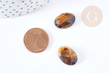 Cabochon ovale oeil de tigre naturel facetté 18x13mm, x1 (G8658)
