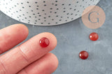 Cabochon rond cornaline naturelle orange 8mm, x1 (G9087)