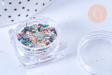 Boite paillettes holographiques nailart inclusion résine ou création pâte polymère, x1 boite de 0.3 gr (G6855)