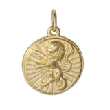 EP Pendentif médaille rondes lion acier doré, pendentif doré,sans nickel,laiton doré, création bijoux,médaille or,2.9cm-G1673