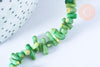 EP Perles bambou de mer naturel teinté vert,perles imitation corailcoquillage vert,fil 38cm-G0991 (adn)