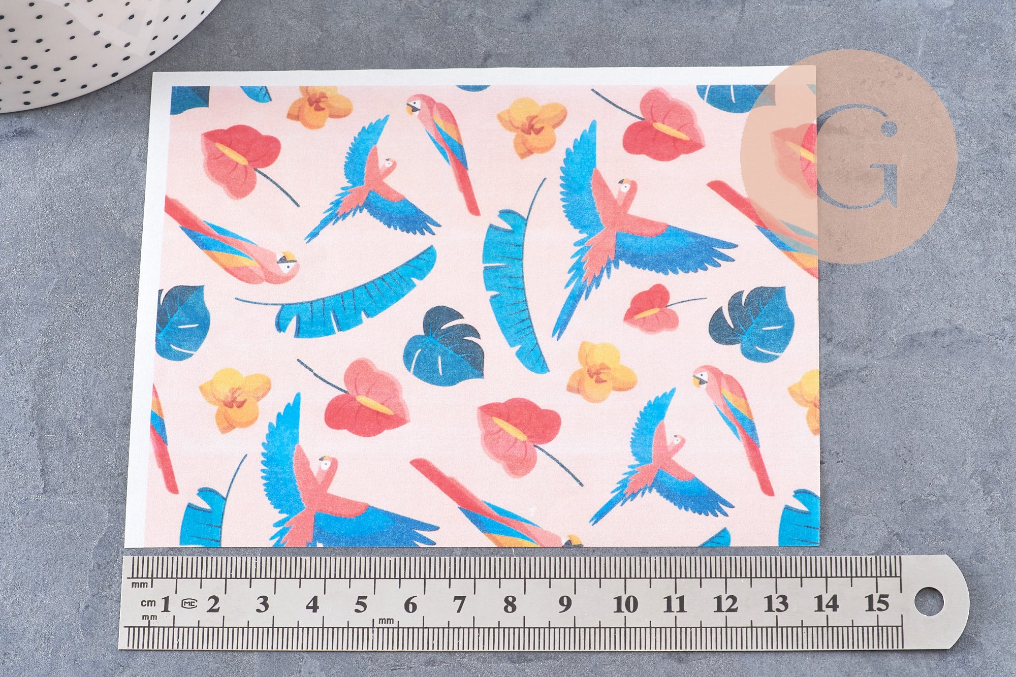 Feuille de transfert polymère – Perroquets multicolores 14x10 cm, x1 (G10771)