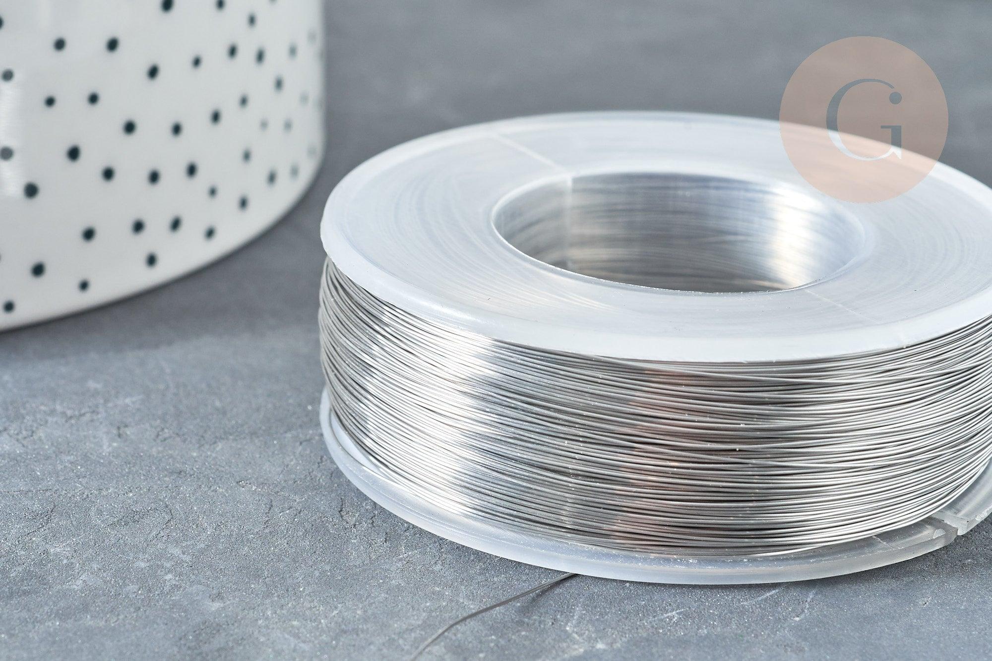Fil d'acier inoxydable platine argenté 0.3mm, x1 Mètre (G8096)