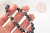 Kit Bracelet pour Homme Coquillage noir et zamac argenté DAVID, x1 pochette 1 bracelet (G9180)