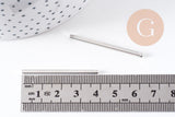 Pendentif barre rectangulaire laiton platine 40mm, x2 (G0662)