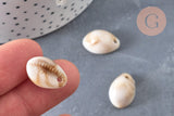 Pendentif coquillage cauri acrylique beige marbré 19mm, x10 (G5488)