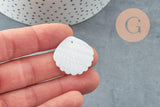 Pendentif coquillage nacre blanche naturelle 35mm, x2 (G9653)