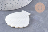 Pendentif coquillage nacre blanche naturelle 54mm, x2 (G10091)