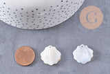 Pendentif coquillage nacre blanche naturelle irisée 21mm, x2 (G10224)