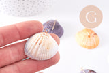 Pendentif coquillage naturel teinté cuivre doré 27-36mm, x1 (G10707)
